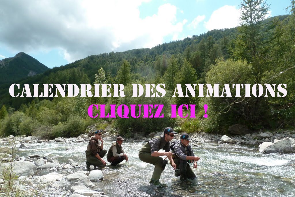 Reallon 28-07-2011 14-31-01