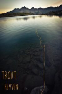 Tshaw Ytscha 17 copie