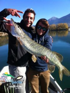 Bro 85cm Embrun Dorian Alix 30 10 14