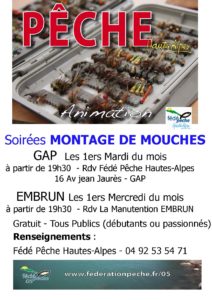 Mouches rencontre