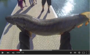 Capture d’écran 2015-06-12 à 16.43.22